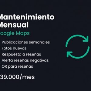 Mantenimiento Mensual Google Maps